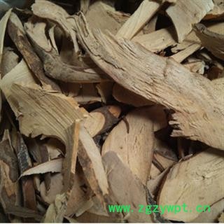 安祁名药茉莉花 茉莉花根图2