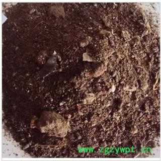 瑞森药材行夜明砂  蝙蝠粪图2