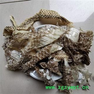 蛇蜕 蛇皮 龙衣 蛇退 长虫皮图4