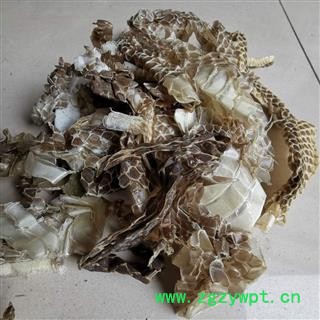 蛇蜕 蛇皮 龙衣 蛇退 长虫皮图3