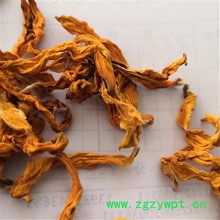 安祁名药向日葵花 葵花 另有向日葵花盘图2