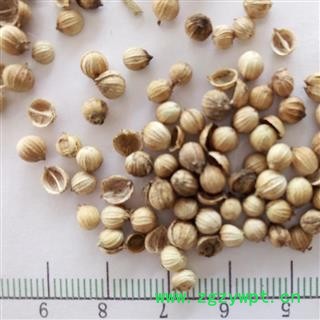 胡荽子 正品保证质量7天无理由退货退款 安品堂图3