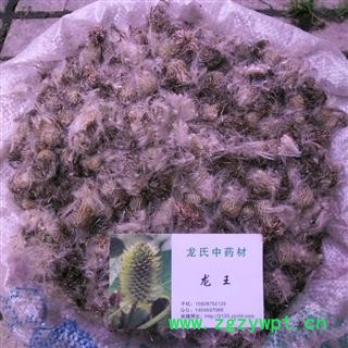 刺红花,小戟花 统货 产地 四川省成都市双流县图2