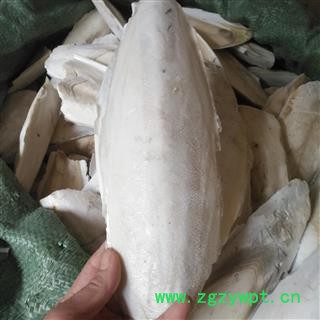 诺源药材行优质选货海螵蛸 完整海螵蛸规格齐全图3