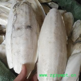 诺源药材行优质选货海螵蛸 完整海螵蛸规格齐全图2