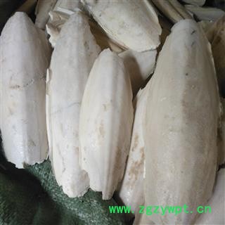 诺源药材行优质选货海螵蛸 完整海螵蛸规格齐全图4