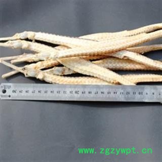 诺源中药材正品刁海龙 黄金刁海龙 泡酒煲汤最佳图2