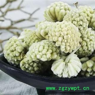 【买2斤送半斤完】西藏野生无硫绿萝花 手工分拣 日晒干净500g图4