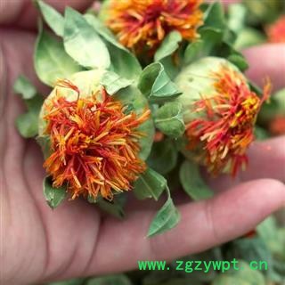 红花果干花 秦岭红花 泡水喝 草红花 手工采摘分拣 日晒干净500g图2