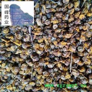 野菊花 野生正品 颜色好 足干 无虫蛀 国峰药业 重在品质 产地 安徽省图2