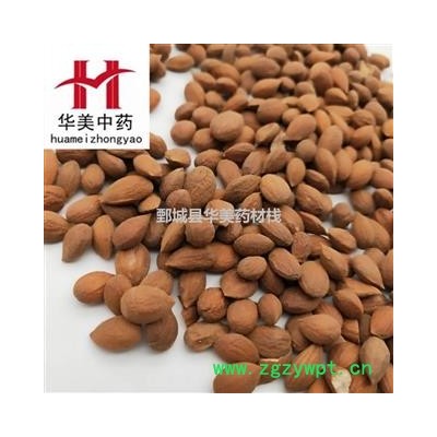 郁李仁 郁李仁统货 产地 甘肃省 华美中药