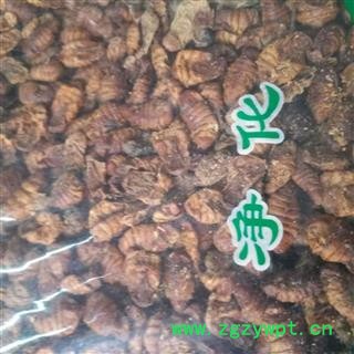 安祁名药正品蚕蛹 晚蚕砂 蚕蜕 蚕牛图2