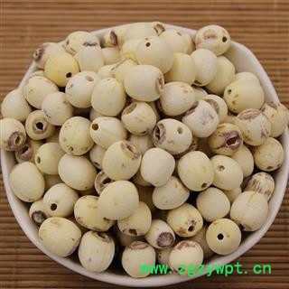莲子@【华美中药】中药材批发供应【去芯白莲子】图2