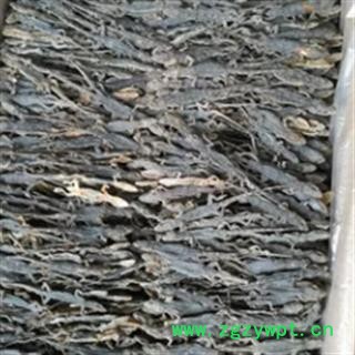 安祁名药盒装整只壁虎 守宫图2