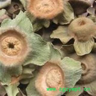 柿蒂 柿蒂选货 新货 颜色好 纯干货 产地 河南省图2