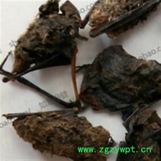 安祁名药中药材  夜明砂 蝙蝠  天鼠 燕别故  5元一个图2