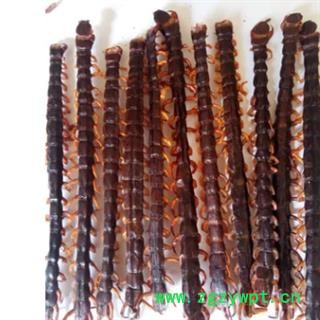 安祁名药蜈蚣 广西野生蜈蚣皮图2