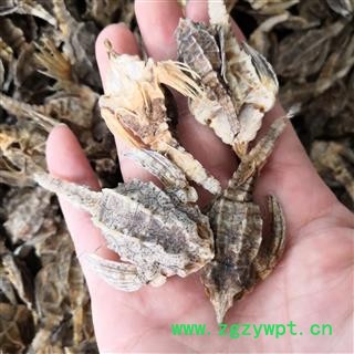 安祁名药海燕 海麻雀 优质选货图2