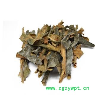 冬瓜皮 统 产地 山东省 华美中药 产地直销 重在品质图2