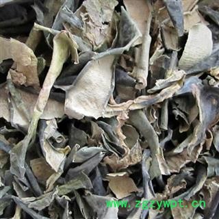 冬瓜皮 统 产地 山东省 华美中药 产地直销 重在品质图3