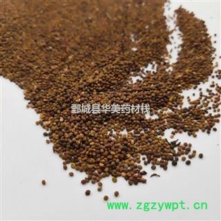 菟丝子@【华美中药】中药材批发供应【菟丝子】图2