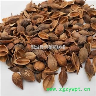 黄连翘 老翘(黄翘)统货 产地 山西省 至臻华美 至臻品质图2