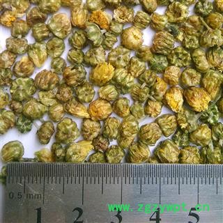 菊花米 浙江桐乡胎菊米1000克 产地 浙江省嘉兴市桐乡市图2