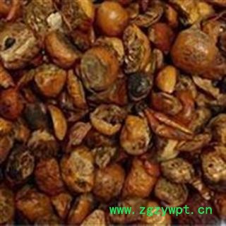 川楝子 川楝子 炒川楝子 精品地道药材  产地 四川省图2