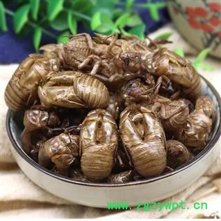 蝉蜕 秦岭金蝉壳 乡亲自捡 无硫无添加原生态500g图3