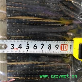 蜈蚣 蜈蚣小条选货10-12cm 产地 湖北省图4