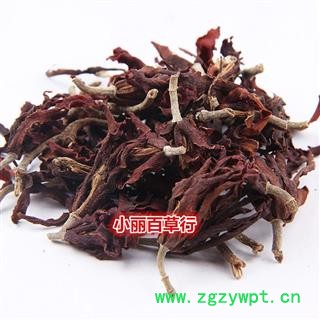 玉兰花 木兰 白玉兰 花茶图2