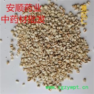 薏苡仁  薏米 玉米  苡仁  粒粒精选 道地药材 产地直销 产地 贵州省图3