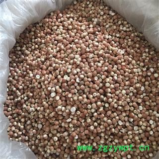 芡实 芡实 选装芡实个 颗粒饱满 有大货 产地 广东省图2