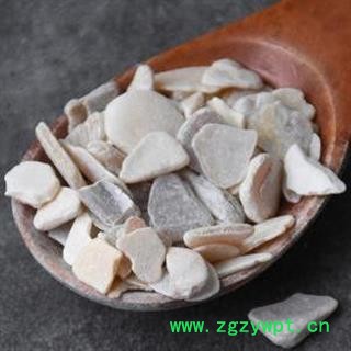 珠母500g包邮 真珠母 明珠母 手工分拣 干净图3