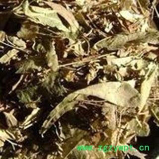 小丽百草行中药材椴树 花新货颜色好图2