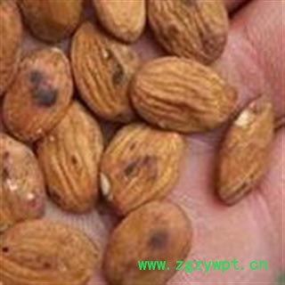 桃仁 炒桃仁 带皮炒 扁桃仁统货 今年新货 无虫蛀无霉变产地 山东省图2