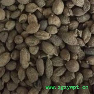 砂仁 壳砂仁统货图2