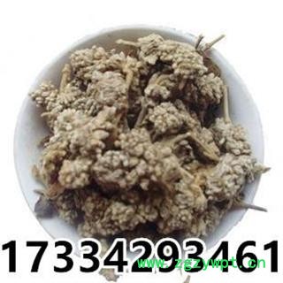 密蒙花  染饭花 九里香 小锦花 蒙花 黄饭花 疙瘩皮树花 鸡骨头花图3