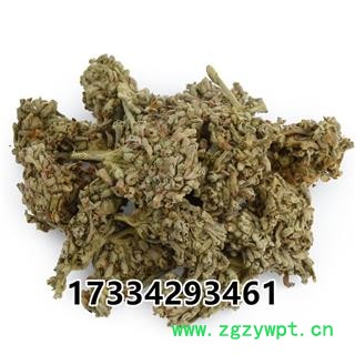 密蒙花  染饭花 九里香 小锦花 蒙花 黄饭花 疙瘩皮树花 鸡骨头花图2