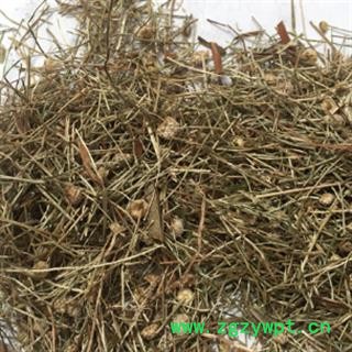 诺源中药材中药材谷精草图2