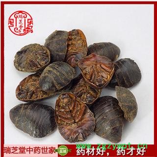 蟅虫统货 土鳖虫  中药材 瑞芝堂产地直销1000克图2