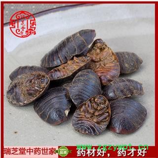 蟅虫统货 土鳖虫  中药材 瑞芝堂产地直销1000克图3