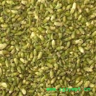 诺源药材行 槐米 优质槐米新货无硫图2