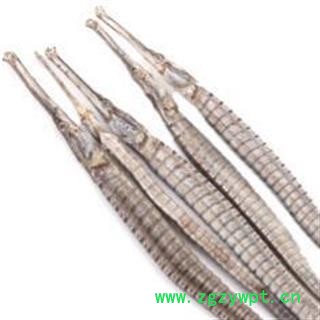 海龙 尖海龙统货 产地 山东省安国市场批发零售大全图2