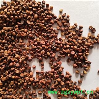 诺源药材行营实  蔷薇子图3