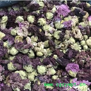 安祁名药新货芙蓉花 茶用级图2