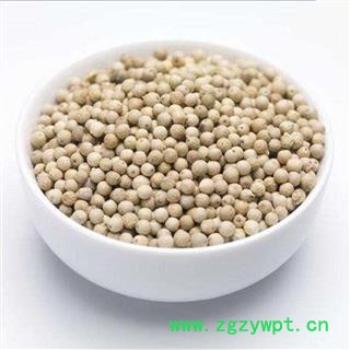 白胡椒 胡椒正品保证质量 中药材批发 丽丽药业图2