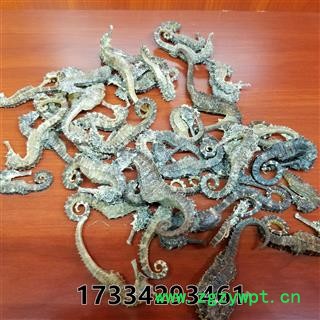 海马 1-2g 清水足干图2