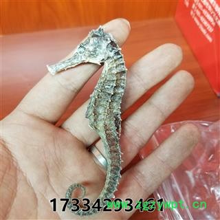 海马 1-2g 清水足干图3