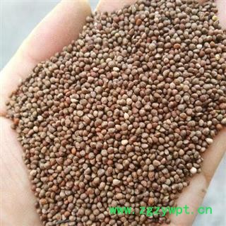 紫苏子 正品保证质量7天无理由退货退款 安品堂图2